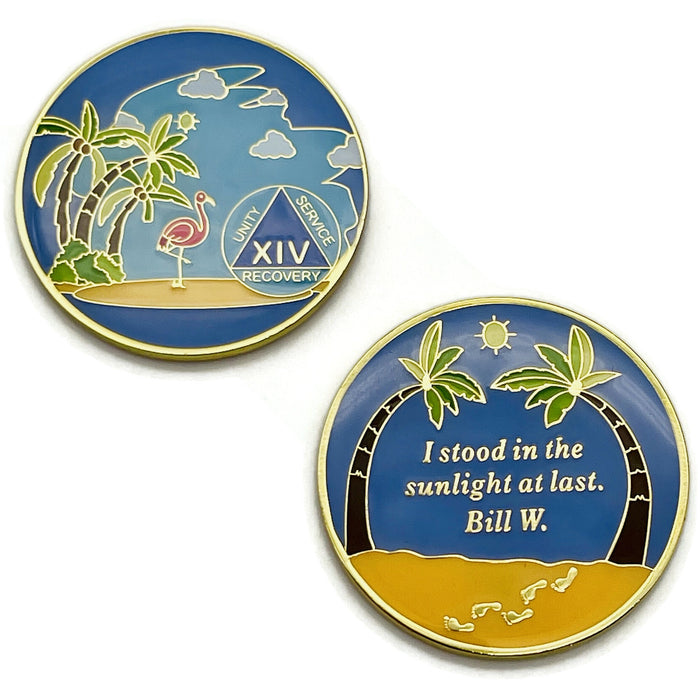 14 Year Beach Themed Specialty Tri-Plated AA Recovery Medallion - Fourteen Year Chip/Coin
