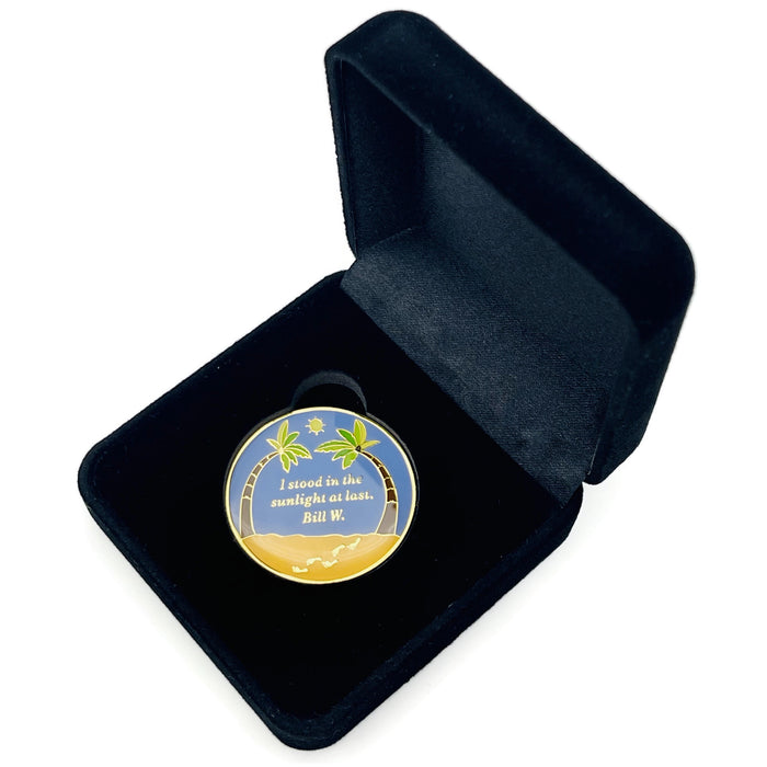24 Hours Beach Themed Specialty Tri-Plated AA Recovery Medallion - Twenty-Four Hours Chip/Coin + Velvet Case