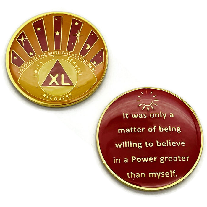 Stood in the Sunlight 40 Year Specialty AA Recovery Medallion - Tri-Plated Forty Year Chip/Coin