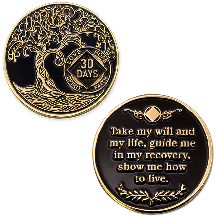 30 Days Sobriety Mint Twisted Tree of Life Gold Plated NA Recovery Medallion - One Month Chip/Coin - Black  + Velvet Box