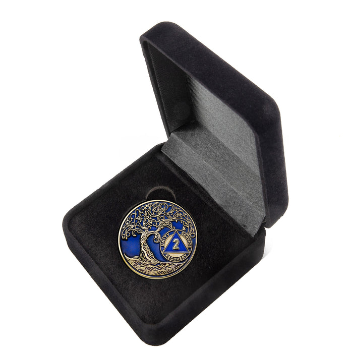 2 Year Sobriety Mint Twisted Tree of Life Gold Plated AA Recovery Medallion - Two Year Chip/Coin - Blue + Velvet Box