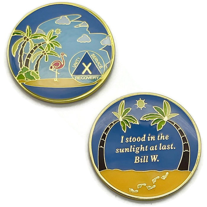 10 Year Beach Themed Specialty Tri-Plated AA Recovery Medallion - Ten Year Chip/Coin + Velvet Case
