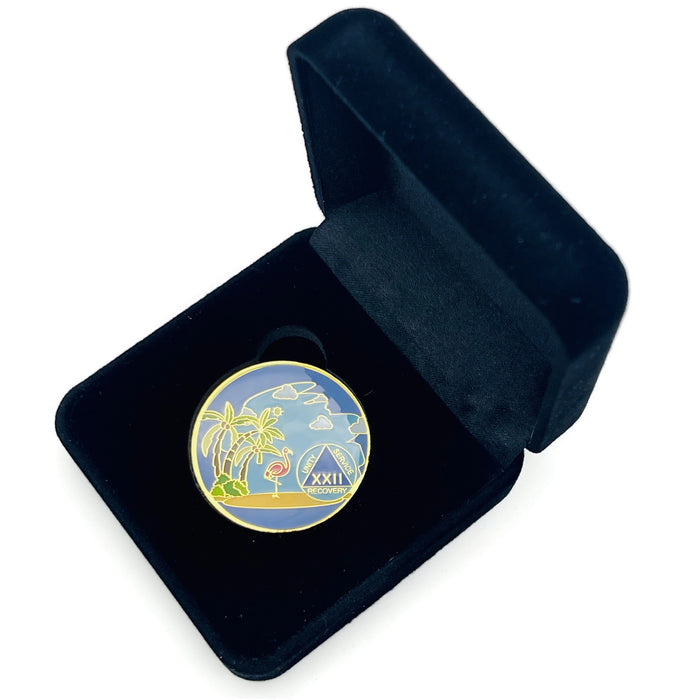 22 Year Beach Themed Specialty Tri-Plated AA Recovery Medallion - Twenty Two Year Chip/Coin + Velvet Case