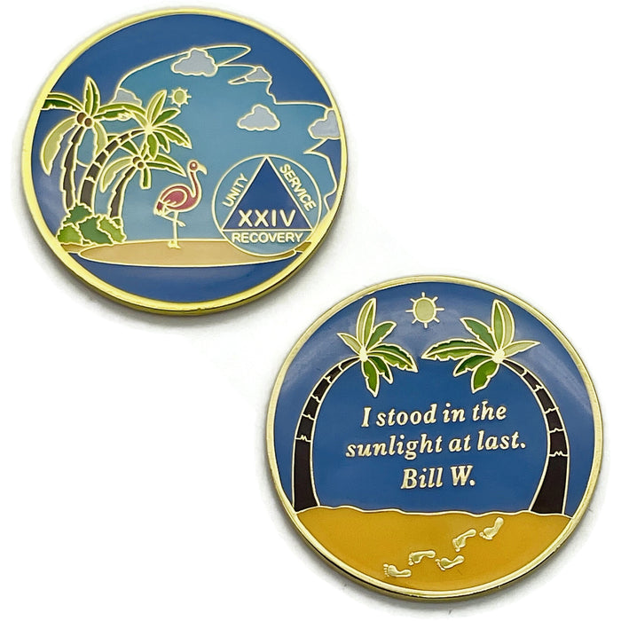 24 Year Beach Themed Specialty Tri-Plated AA Recovery Medallion - Twenty Four Year Chip/Coin