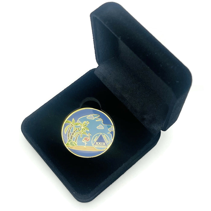 29 Year Beach Themed Specialty Tri-Plated AA Recovery Medallion - Twenty Nine Year Chip/Coin + Velvet Case