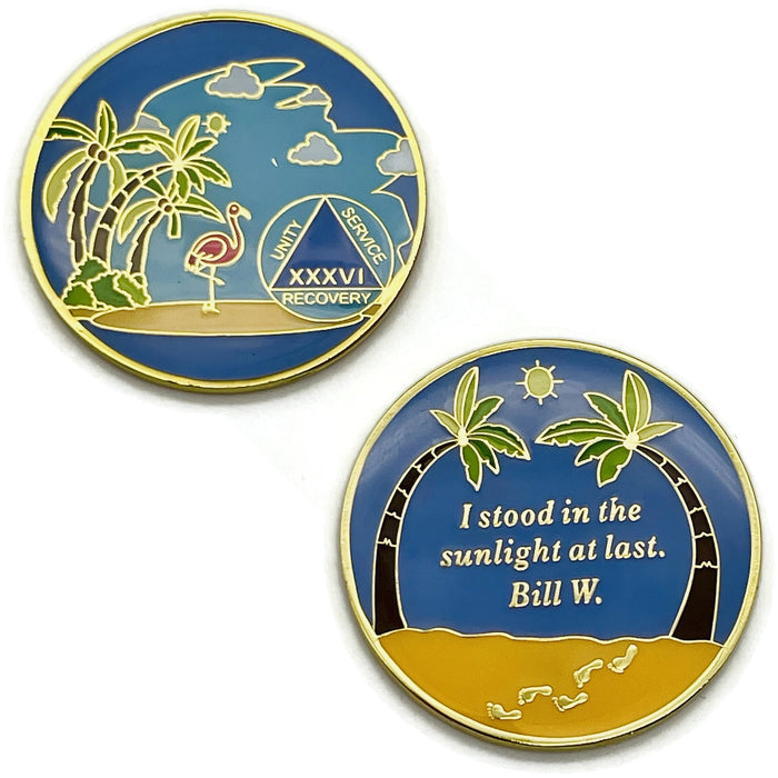 36 Year Beach Themed Specialty Tri-Plated AA Recovery Medallion - Thirty Six Year Chip/Coin
