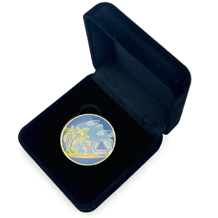 38 Year Beach Themed Specialty Tri-Plated AA Recovery Medallion - Thirty Eight Year Chip/Coin + Velvet Case