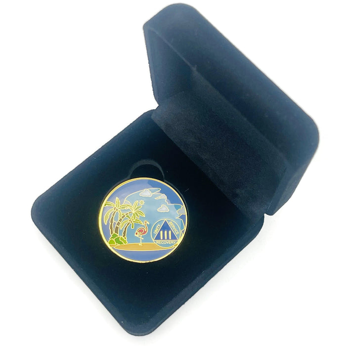 3 Year Beach Themed Specialty Tri-Plated AA Recovery Medallion - Three Year Chip/Coin + Velvet Case