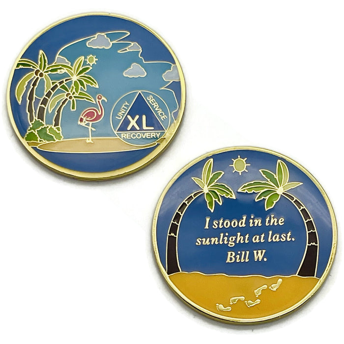 40 Year Beach Themed Specialty Tri-Plated AA Recovery Medallion - Forty Year Chip/Coin