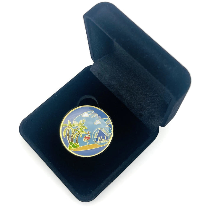 41 Year Beach Themed Specialty Tri-Plated AA Recovery Medallion - Forty One Year Chip/Coin + Velvet Case