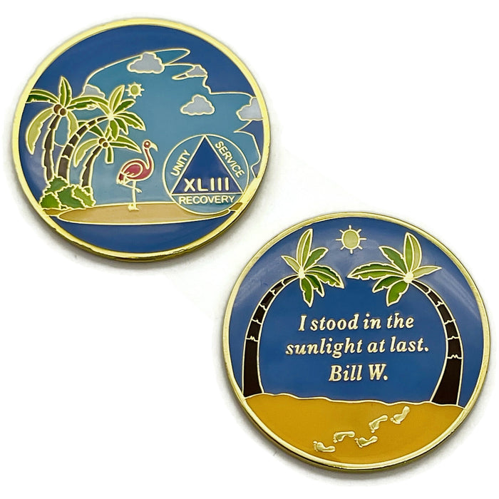 43 Year Beach Themed Specialty Tri-Plated AA Recovery Medallion - Forty Three Year Chip/Coin + Velvet Case
