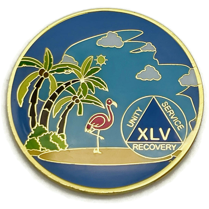 45 Year Beach Themed Specialty Tri-Plated AA Recovery Medallion - Forty Five Year Chip/Coin + Velvet Case