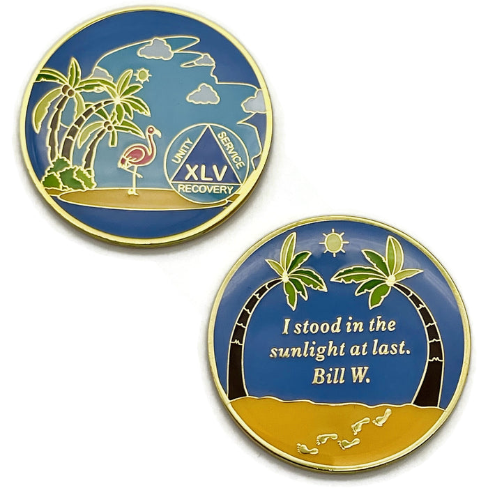 45 Year Beach Themed Specialty Tri-Plated AA Recovery Medallion - Forty Five Year Chip/Coin