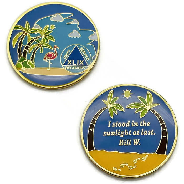 49 Year Beach Themed Specialty Tri-Plated AA Recovery Medallion - Forty Nine Year Chip/Coin