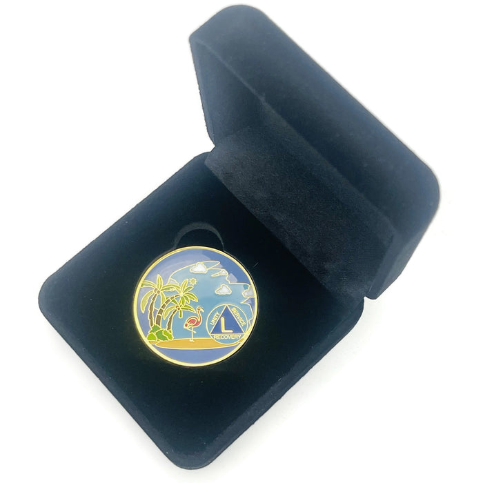 50 Year Beach Themed Specialty Tri-Plated AA Recovery Medallion - Fifty Year Chip/Coin + Velvet Case