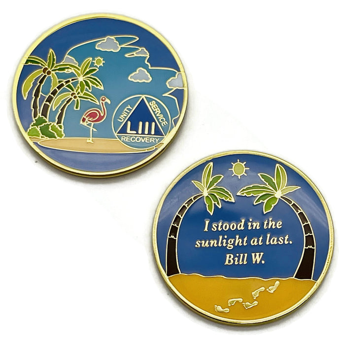 53 Year Beach Themed Specialty Tri-Plated AA Recovery Medallion - Fifty Three Year Chip/Coin + Velvet Case