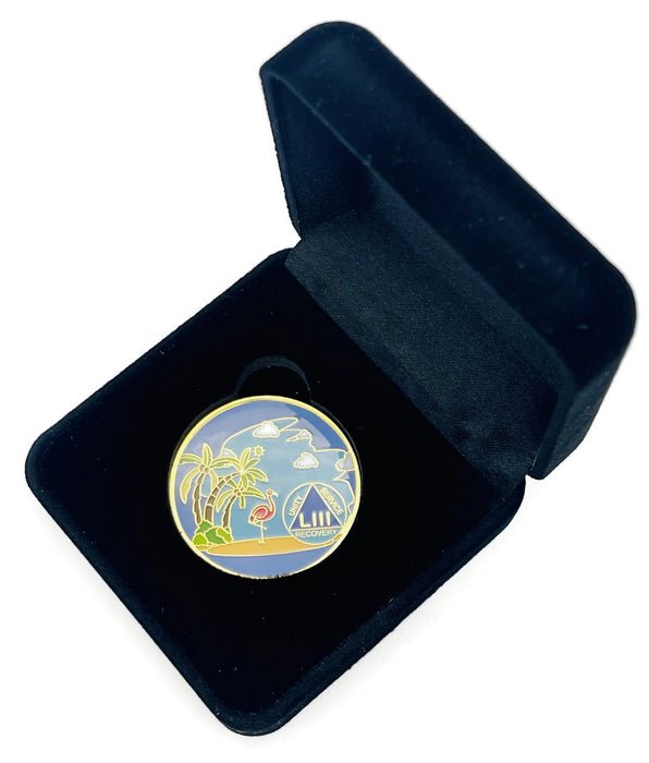 53 Year Beach Themed Specialty Tri-Plated AA Recovery Medallion - Fifty Three Year Chip/Coin + Velvet Case