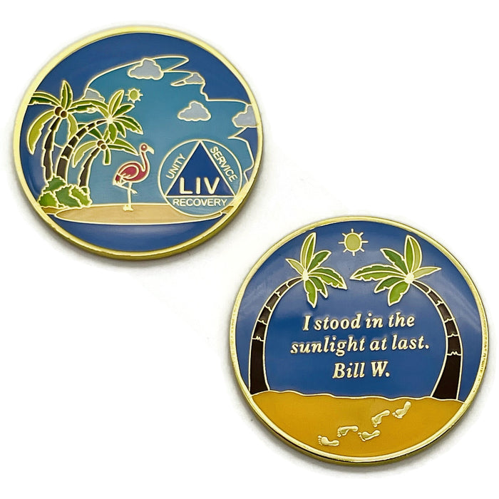 54 Year Beach Themed Specialty Tri-Plated AA Recovery Medallion - Fifty Four Year Chip/Coin