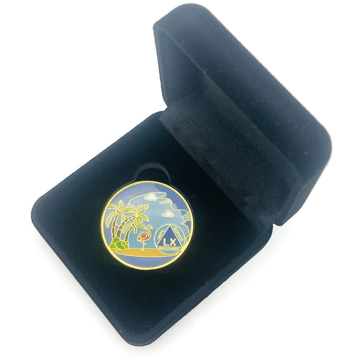 60 Year Beach Themed Specialty Tri-Plated AA Recovery Medallion - Sixty Year Chip/Coin + Velvet Case