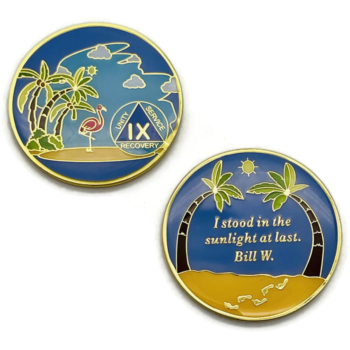 9 Year Beach Themed Specialty Tri-Plated AA Recovery Medallion - Nine Year Chip/Coin + Velvet Case
