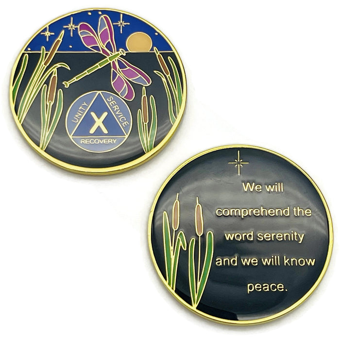 Dragonfly 9th Step 10 Year Specialty AA Recovery Medallion - Tri-Plated Ten Year Chip/Coin + Velvet Case