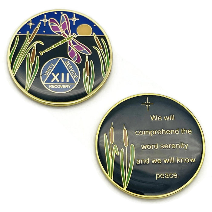 Dragonfly 9th Step 12 Year Specialty AA Recovery Medallion - Tri-Plated Twelve Year Chip/Coin + Velvet Case