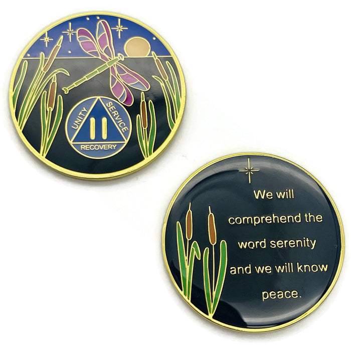 Dragonfly 9th Step 2 Year Specialty AA Recovery Medallion - Tri-Plated Two Year Chip/Coin + Velvet Case