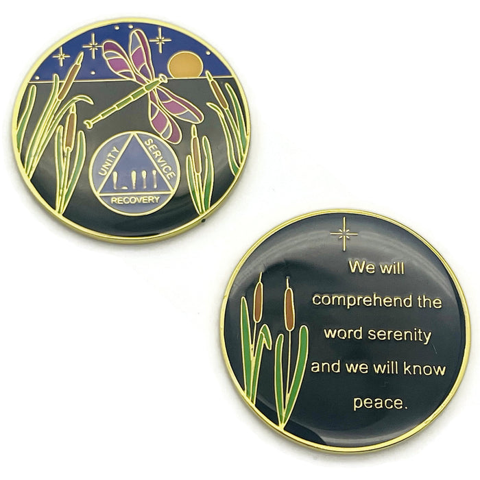 Dragonfly 9th Step 53 Year Specialty AA Recovery Medallion - Tri-Plated Fifty-Three Year Chip/Coin