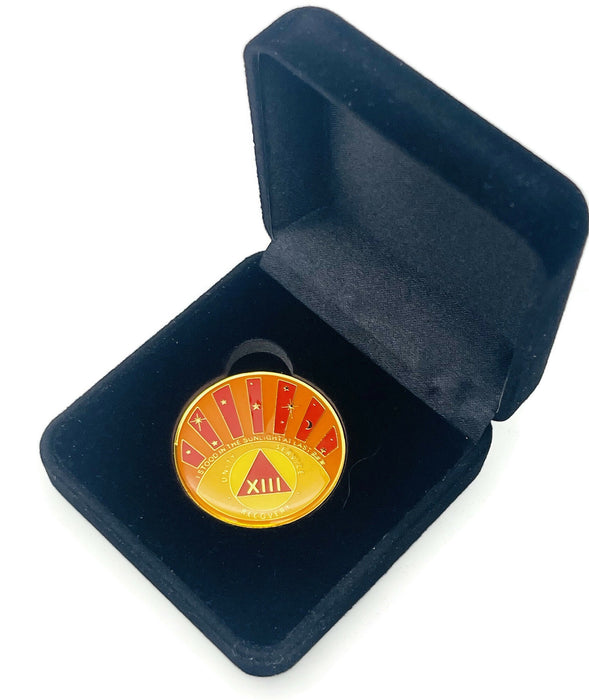 Stood in the Sunlight 13 Year Specialty AA Recovery Medallion - Tri-Plated Thirteen Year Chip/Coin + Velvet Case