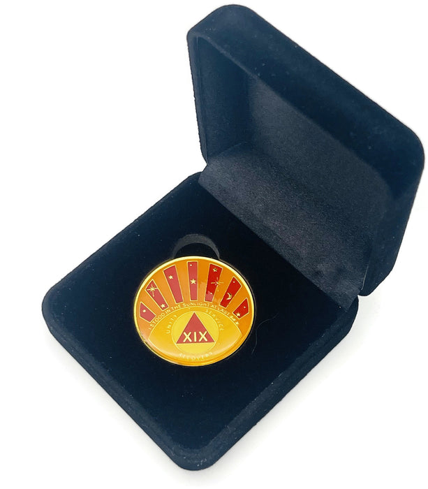 Stood in the Sunlight 19 Year Specialty AA Recovery Medallion - Tri-Plated Nineteen Year Chip/Coin + Velvet Case