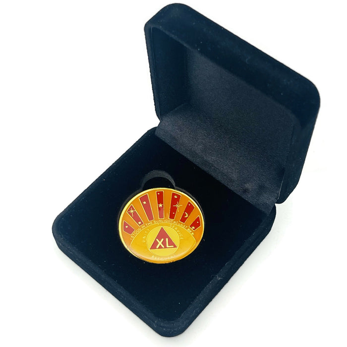 Stood in the Sunlight 40 Year Specialty AA Recovery Medallion - Tri-Plated Forty Year Chip/Coin + Velvet Case