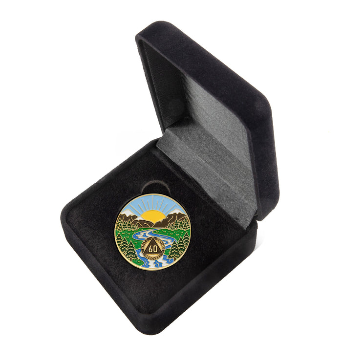1 to 65 Year Sobriety Mint Winding River Gold Plated AA Recovery Medallion/Chip/Coin + Velvet Box