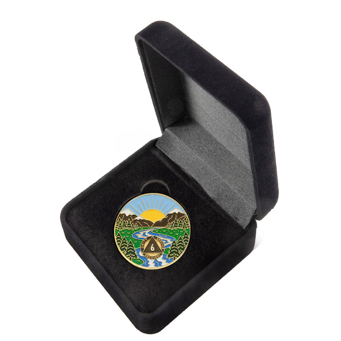 6 Year Sobriety Mint Winding River Gold Plated AA Recovery Medallion - Six Year Chip/Coin + Velvet Box