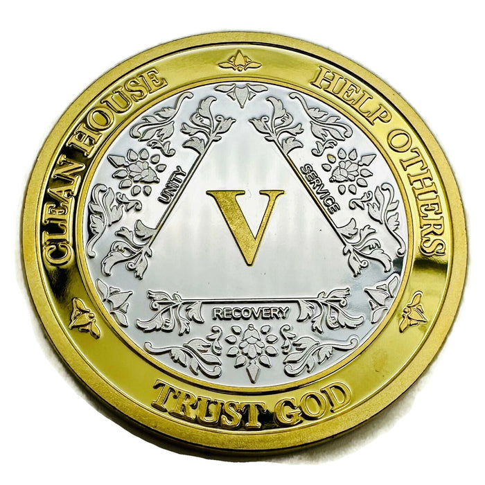 Large AA Chip Holder, Alcoholics Anonymous Recovery Gifts, AA Coin Holder,  Sobriety Gift for Men, Medallion Holder, Recovery Gift for Women 