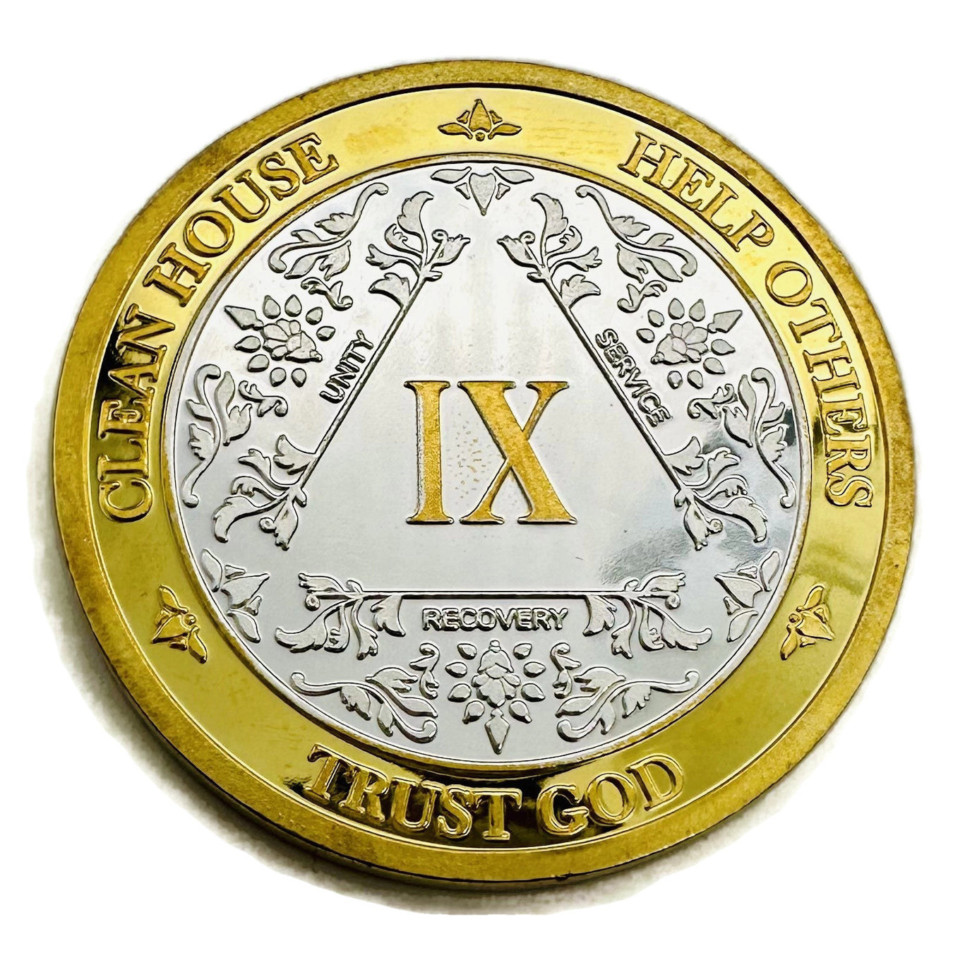 9 Year AA Medallions - Nine Year Alcoholics Anonymous Birthday Coins and Chips