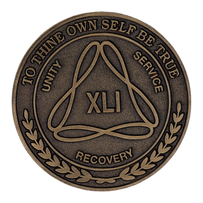 1 to 50 Year Bronze AA Meeting Chips - Sobriety Mint Infinity Triangle Recovery Medallions/Coins
