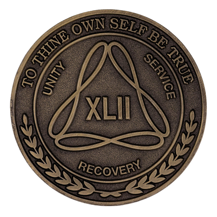1 to 50 Year Bronze AA Meeting Chips - Sobriety Mint Infinity Triangle Recovery Medallions/Coins