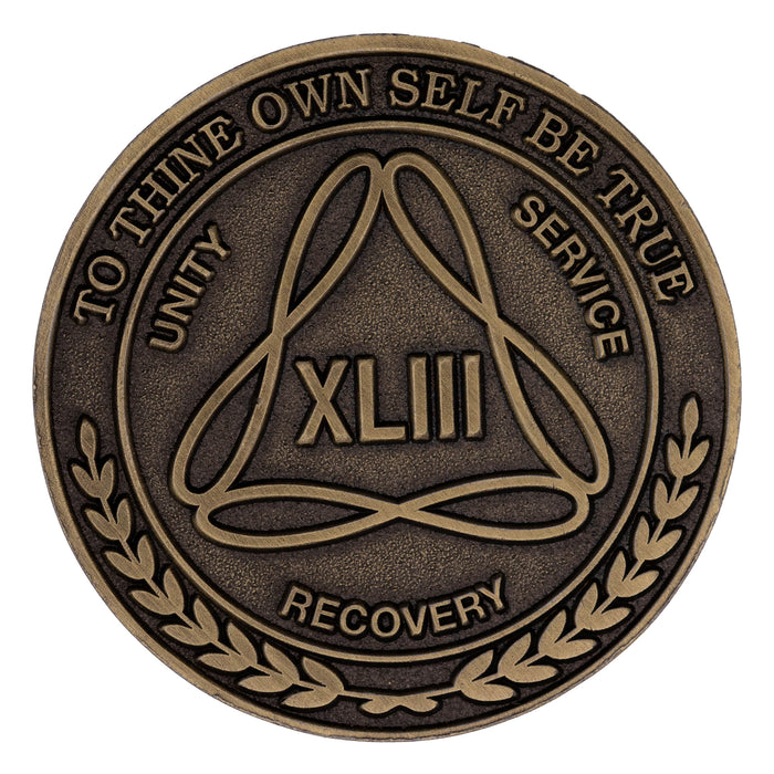 1 to 50 Year Bronze AA Meeting Chips - Sobriety Mint Infinity Triangle Recovery Medallions/Coins