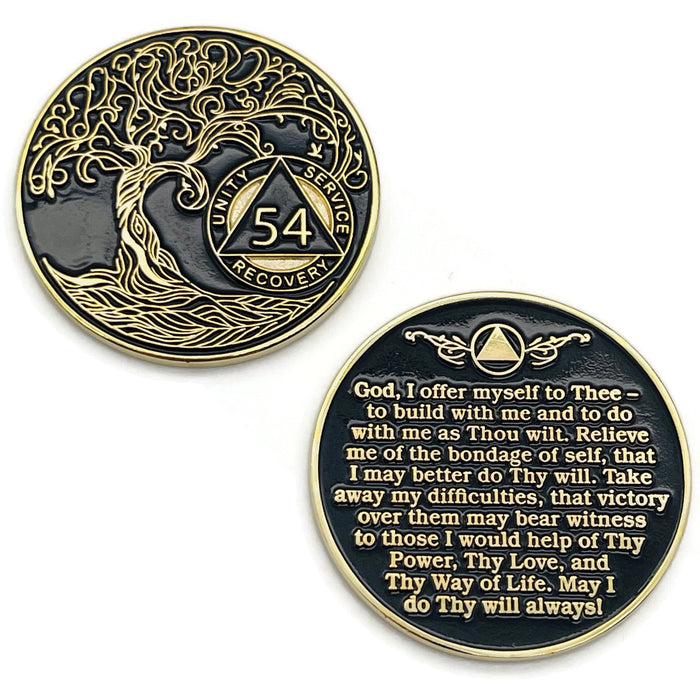 54 Year Sobriety Mint Twisted Tree of Life Gold Plated AA Recovery Medallion - Fifty Four Year Chip/Coin - Black + Velvet Case