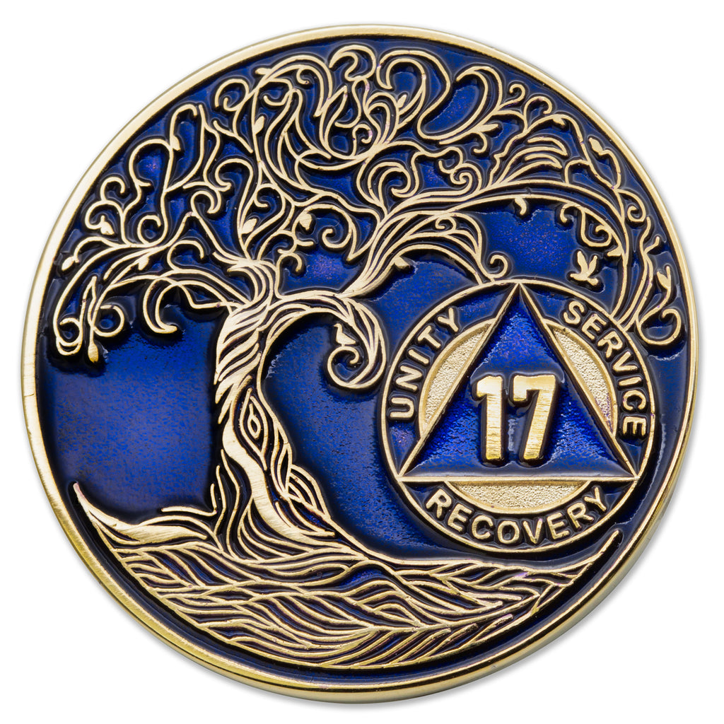 11 Year Sobriety Chip - Premium Bronze AA Medallion With Serenity Prayer (34x2mm) - View #3