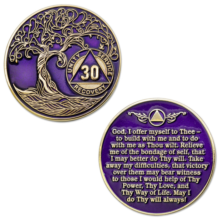 30 Year Sobriety Mint Twisted Tree of Life Gold Plated AA Recovery Medallion/Chip/Coin - Purple + Velvet Box