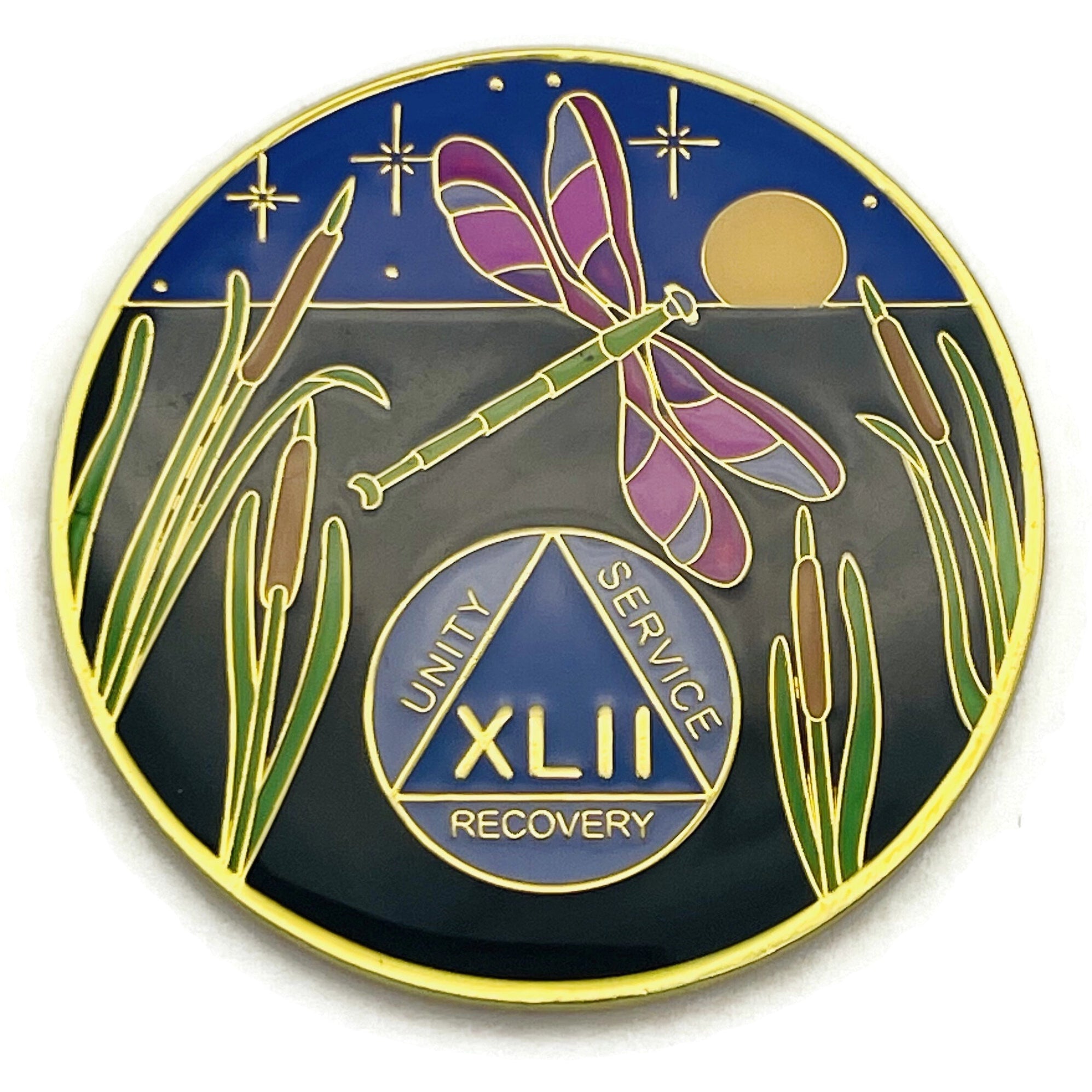 1 to 60 Year Dragonfly 9th Step Specialty AA Recovery Medallion/Chip ...