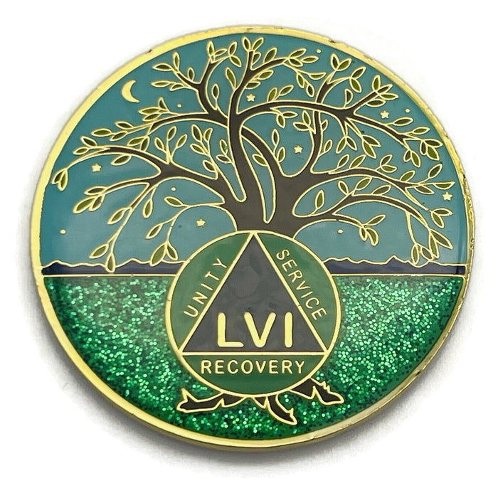  55 Year Bronze AA (Alcoholics Anonymous) - Sober / Sobriety /  Birthday / Anniversary / Recovery / Medallion / Chip : Office Products
