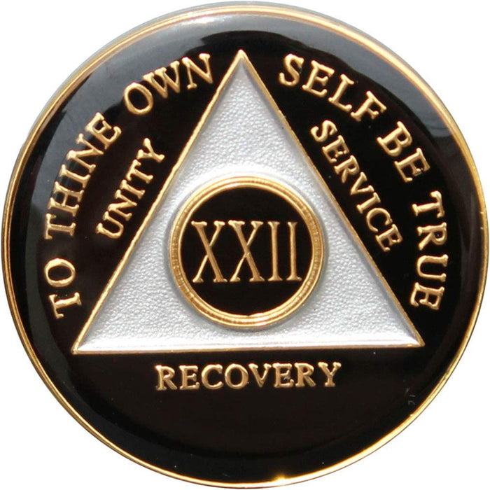 Recovery Mint 22 Year AA Medallion - Tri-Plate Twenty-Two Year Chip/Coin - Black