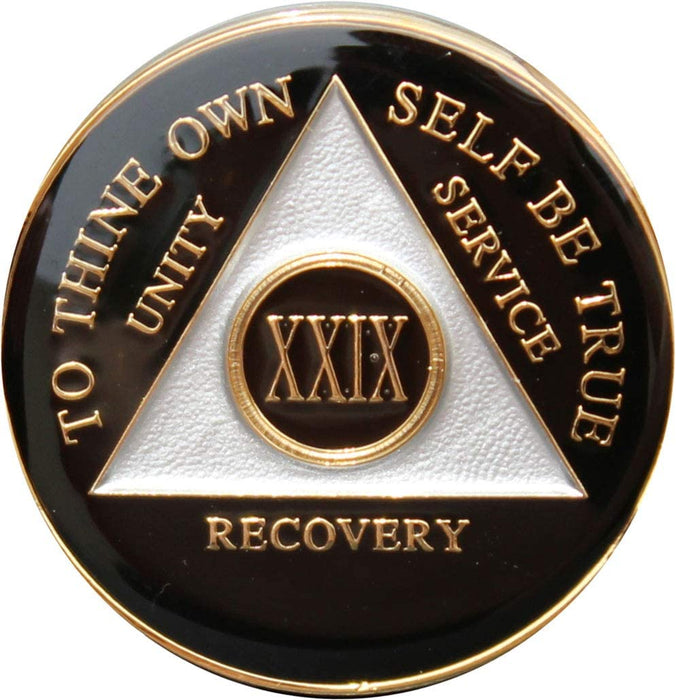 Recovery Mint 29 Year AA Medallion - Tri-Plate Twenty-Nine Year Chip/Coin - Black