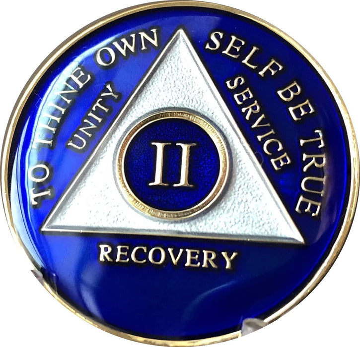 Recovery Mint 2 Year AA Medallion - Tri-Plate Two Year Chip/Coin - Blue