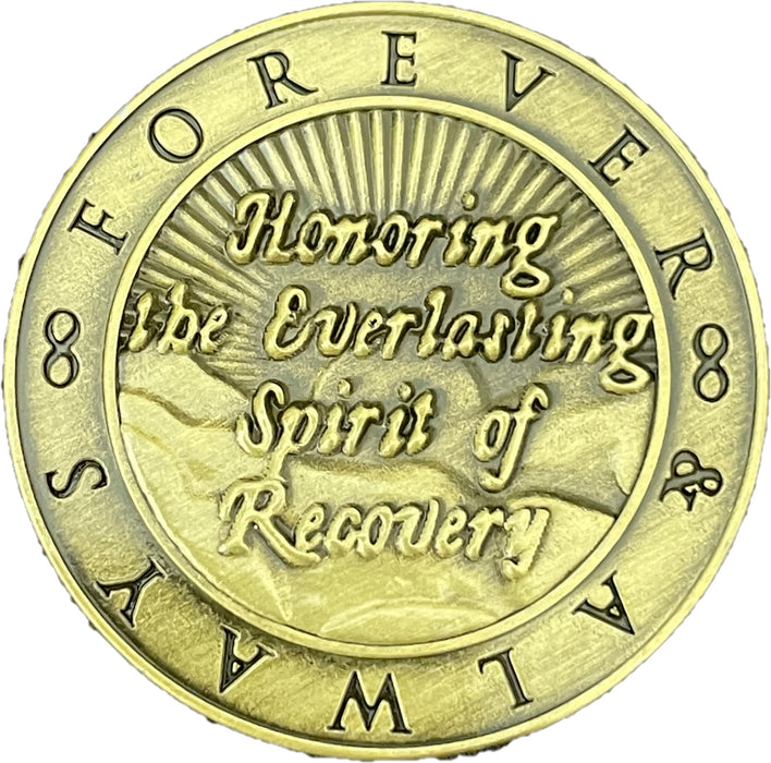 Infinity Symbol AA/NA Bronze Recovery Medallion