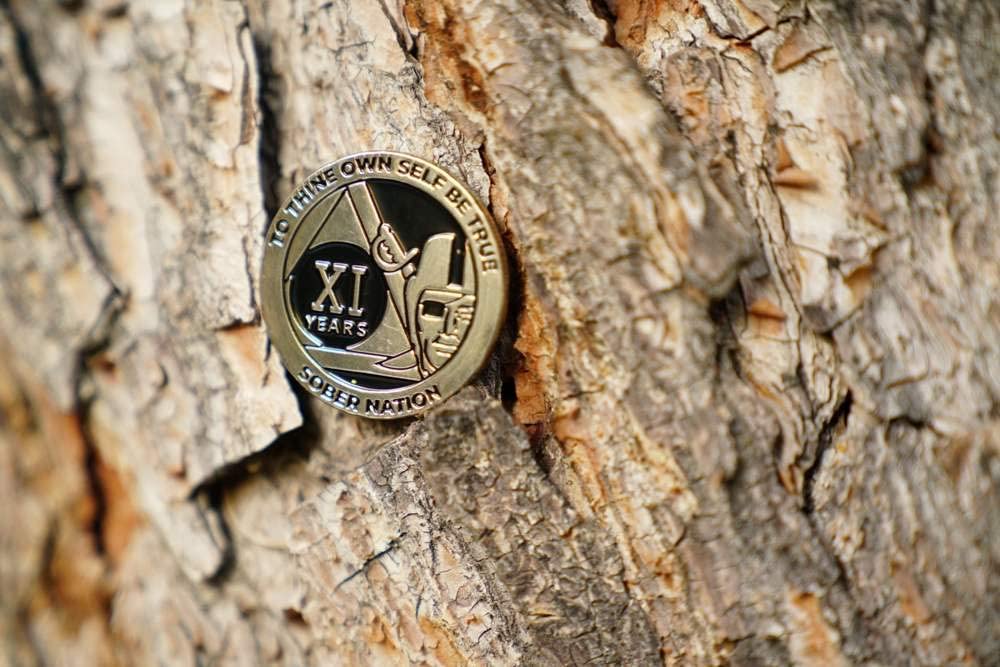 41 Year Raider Sober Nation AA/NA Recovery Medallion - 40mm Fancy Chip/Coin - Black/Silver