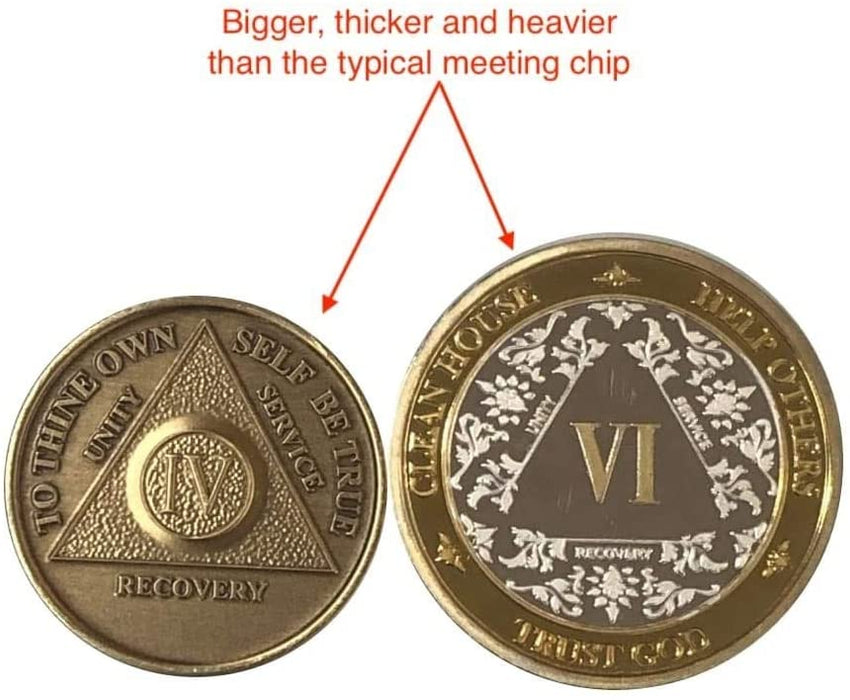 17 Year 40mm Gold & Silver AA Medallion - Bi-Plate Fancy Seventeen Year Chip/Coin