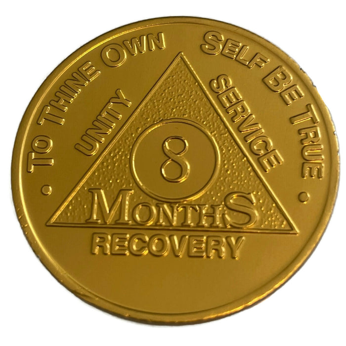 Recovery Mint Aluminum AA Meeting Chips - Newcomer Coins - 8 Months Gold